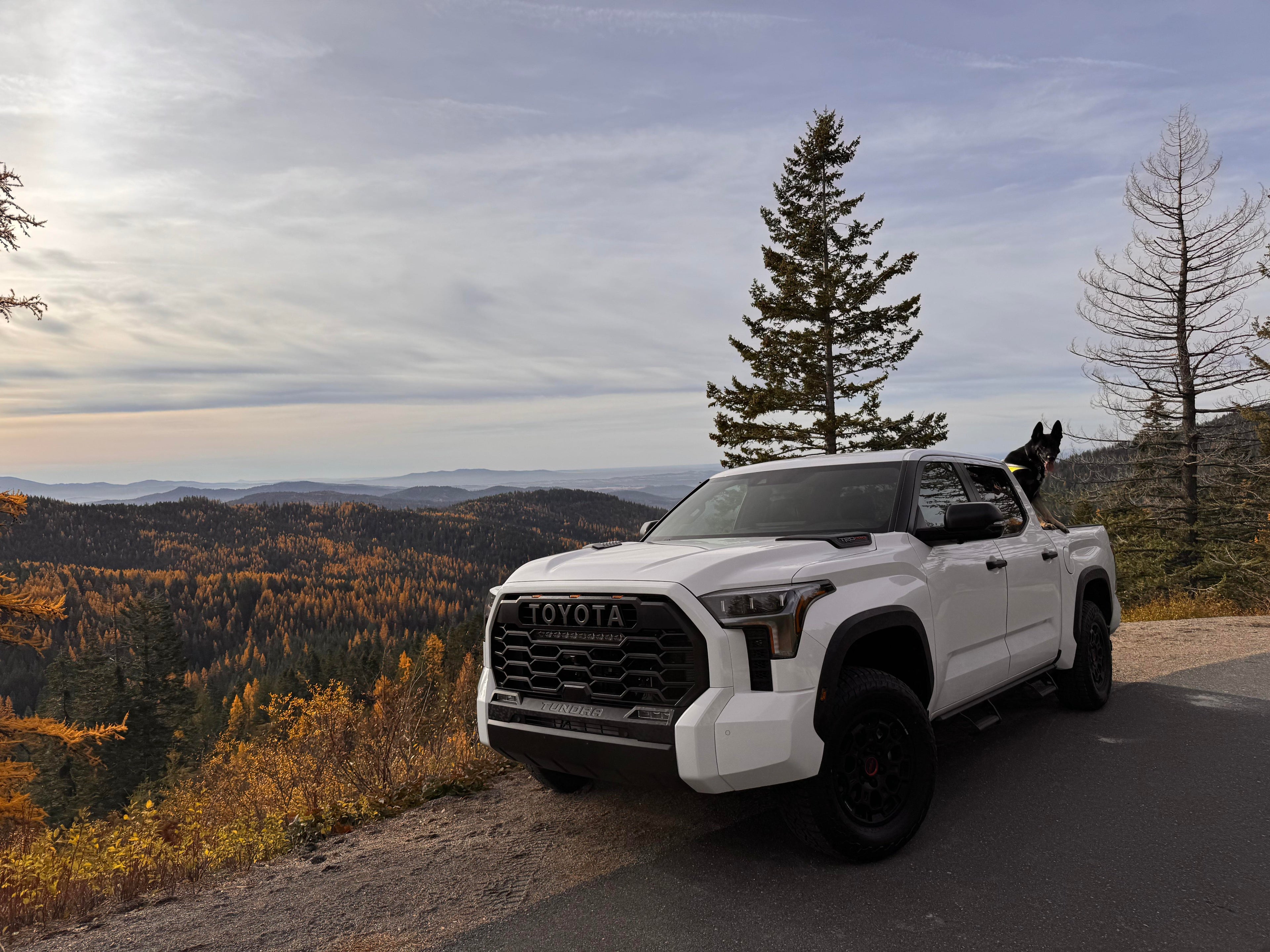 White Toyota truck on a scenic road with trees and mountains in the background
